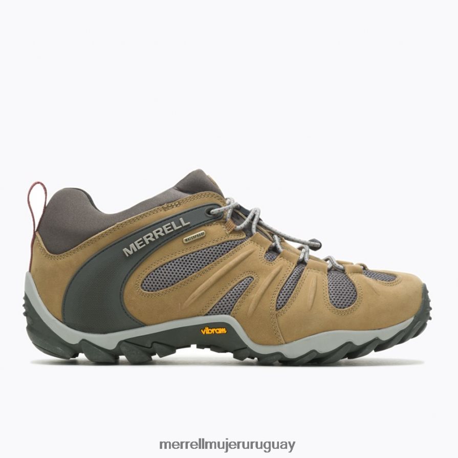 Merrell Camaleón 8 elástico impermeable (j500017) zapatos JPDRFN183 nuez hombres