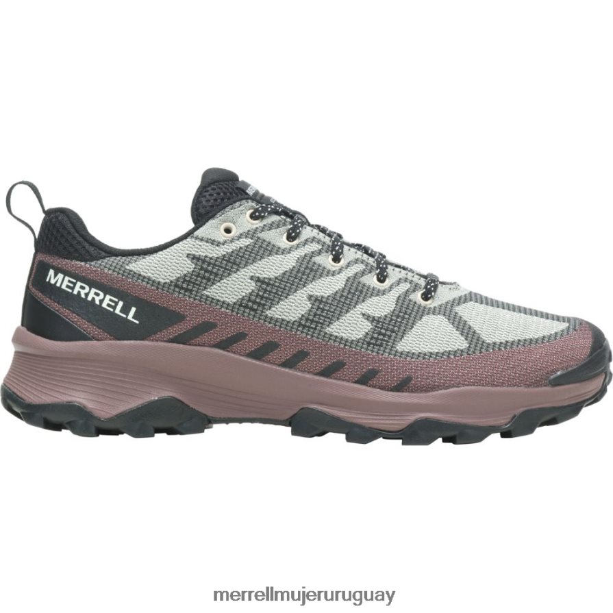 Merrell velocidad eco (j037127) zapatos JPDRFN31 ostra/marrón hombres